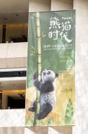 深圳新展【熊猫时代】
