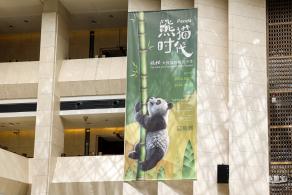 深圳新展【熊猫时代】