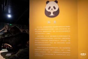 深圳新展【熊猫时代】