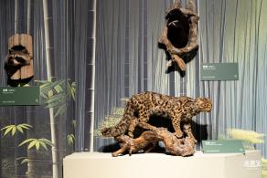 深圳新展【熊猫时代】