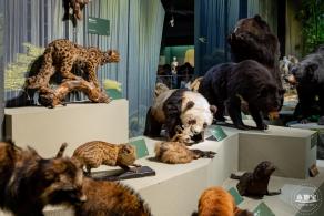 深圳新展【熊猫时代】