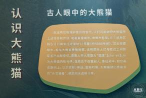 深圳新展【熊猫时代】