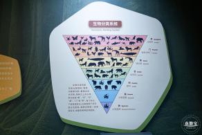 深圳新展【熊猫时代】