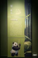 深圳新展【熊猫时代】