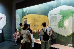 深圳新展【熊猫时代】