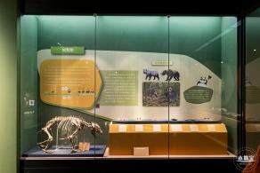 深圳新展【熊猫时代】