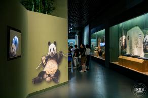 深圳新展【熊猫时代】