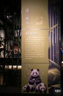 深圳新展【熊猫时代】