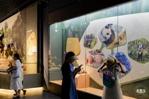 深圳新展【熊猫时代】