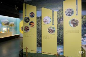 深圳新展【熊猫时代】