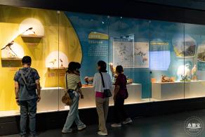 深圳新展【熊猫时代】