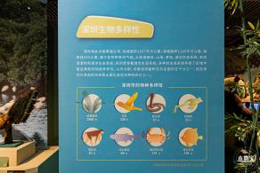 深圳新展【熊猫时代】