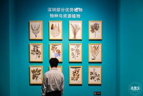 深圳新展【熊猫时代】