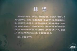 深圳新展【熊猫时代】