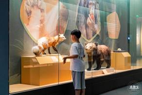 深圳新展【熊猫时代】