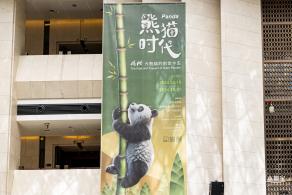 深圳新展【熊猫时代】
