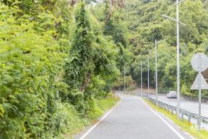 环大鹏湾海岸栈道