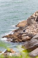 环大鹏湾海岸栈道