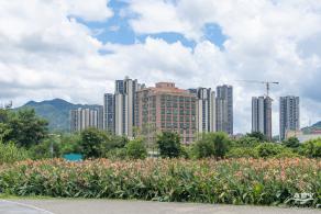 坪山河公园