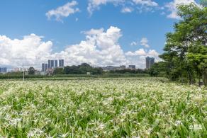 坪山河公园