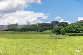 坪山河公园