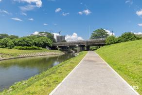 坪山河公园