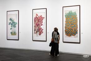 【书间梦蝶】藏书票特展