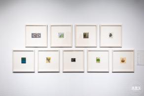 【书间梦蝶】藏书票特展