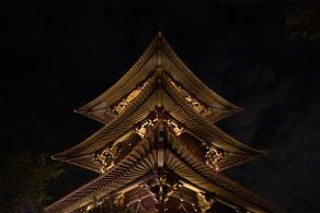 广富林灯会