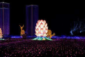 广富林灯会