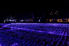 广富林灯会