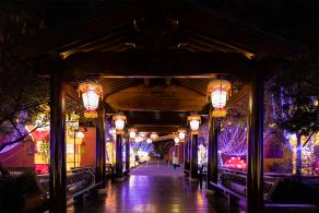 广富林灯会