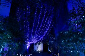广富林灯会