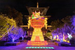 广富林灯会