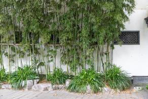 鲁迅公园