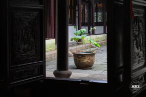 醉白池