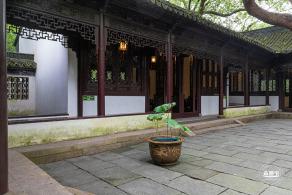 醉白池