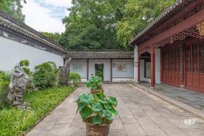 醉白池