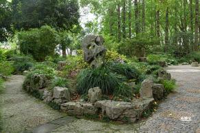 醉白池