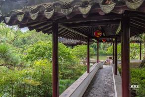 醉白池