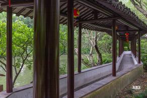 醉白池