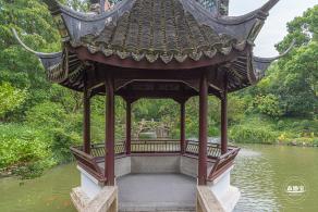 醉白池