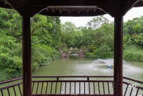 醉白池
