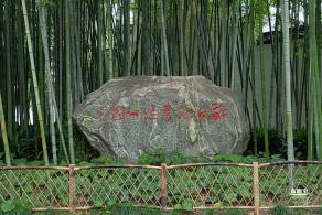 醉白池