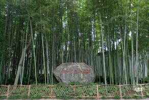 醉白池