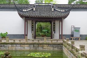 醉白池