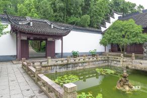 醉白池