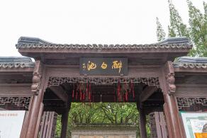 醉白池