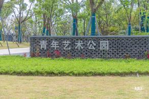 上海之鱼
