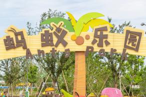 上海之鱼